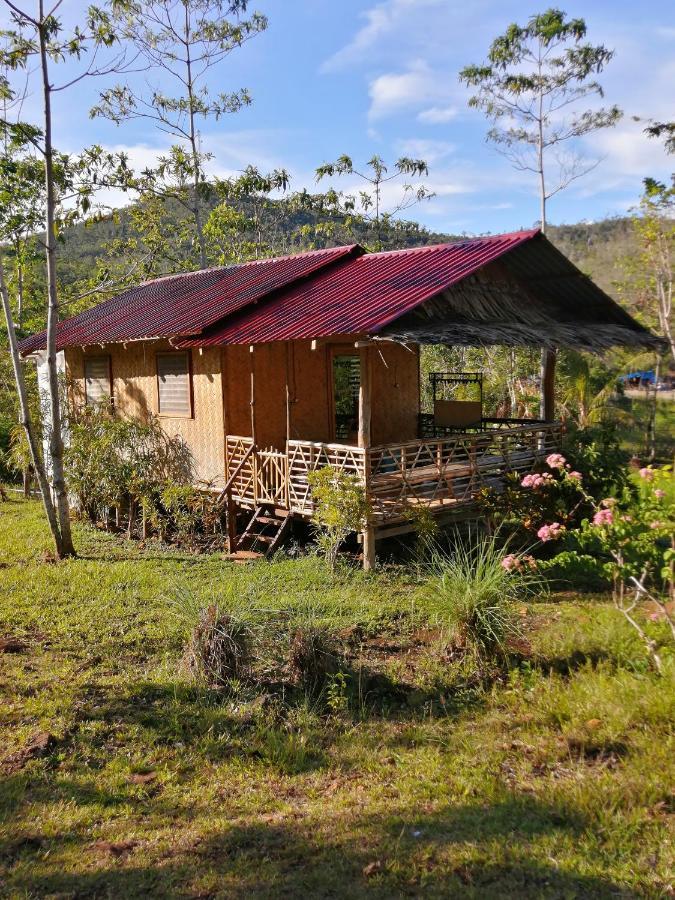 Villa Nagtabon Puerto Princesa Екстериор снимка